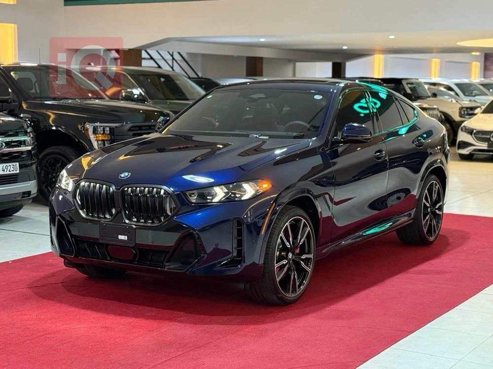 BMW X6